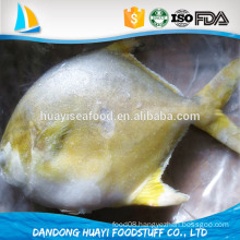 New Frozen Whole 300-400g Golden Pompano/Pomfret Fish on sale